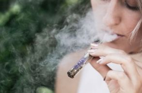 Kor�nyi-int�zet: az �j t�pus�, f�stmentes doh�nyterm�kek egy�ltal�n nem t�mogatj�k a leszok�st