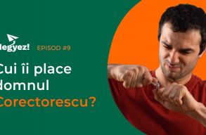 Megy ez! rom�n nyelvlecke vide�k: R�szes eset. Kinek?