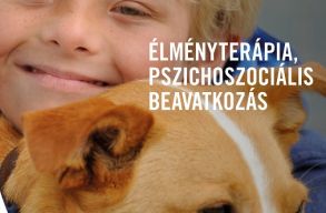 Kolozsv�ri Yuppit�l sz�kelyf�ldi lovaster�pi�ig: itt vannak a MOL Gyermekgy�gy�t� �j gy�ztesei!