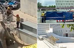 B�z �radt egy �ri�si pap�rmas� dinoszauruszb�l, kider�lt, hogy holttest van benne