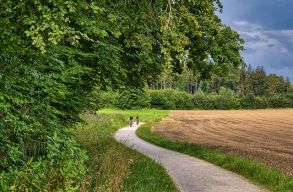 Eddig szavunk sem volt a k�l�n�ll� bicikliutakra - az RMDSZ ezt is megoldotta