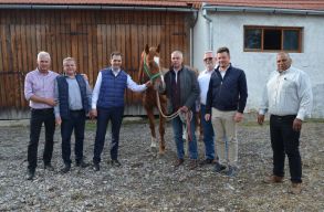 A hat�rokon �t�vel� magyar-magyar kapcsolatoknak k�sz�nhet�en H�romsz�kre k�lt�z�tt Szemafor Sz�ltol�