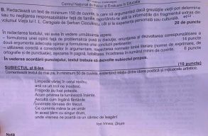 Novell�t kellett elemezni�k, �s I.L. Caragiale �let�vel kapcsolatban kellett �rvelni�k az �retts�giz�knek