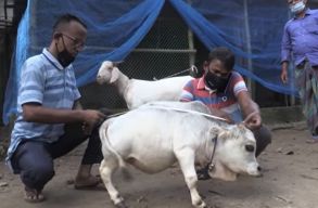 Rani, a bangladesi t�rpe teh�n csod�j�ra j�r a vil�g