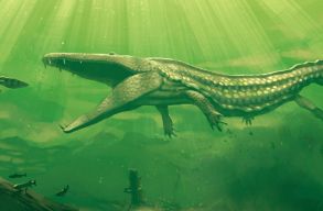 7 m�teres, 230 milli� �ves �si krokodil �llkapcs�t tal�lt�k meg N�metorsz�gban