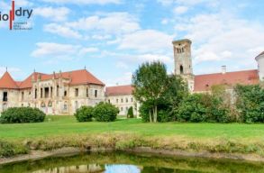 Egy �j Biodry k�sz�l�k ker�lt fel a B�nffy-kast�ly falaira (X)