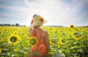 Marad a k�vetkez� hetekben is a k�nikula, �s a 30 fok k�r�li napi cs�cs�rt�k