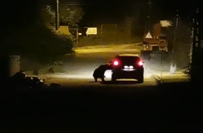 Vide�: anyamedve t�madt egy vacsor�t megzavar� aut�ra Prahova megy�ben