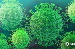 Fel�vel cs�kkentheti az elhal�loz�s es�ly�t egy �j covid-tabletta