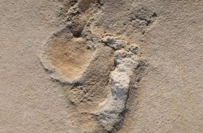 Hat milli� �ves  emberi l�bnyomokra bukkanhattak a tud�sok