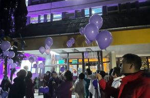 Korabab�k: elegend� inkub�tort �s z�r� szepar�ci�t a PICi h�s�knek!