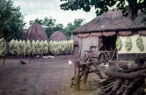 Kv�z: mi f�n terem a doh�ny Erd�lyben?