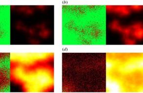 Szegedi matematikusok modellezt�k le, hogyan fert�zi meg sejtjeinket a koronav�rus