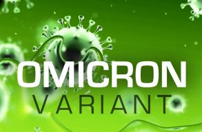 GYIK: k�rd�s-v�lasz gy�jtem�ny az Omicronr�l, az �j koronav�rus mut�ci�r�l