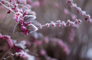 Fagyokra �s havaz�sra lehet sz�m�tani kar�csony el�tt