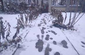 J�hetnek a havas fot�k: h�tf�ig havazni fog 13 megy�ben!