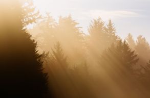 Volt, ahol 16 fokot m�rtek janu�r elsej�n az orsz�gban