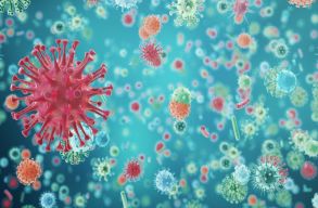 Brit kutat�k szerint az omikron nem t�madja annyira a t�d�t, viszont sokkal fert�z�bb