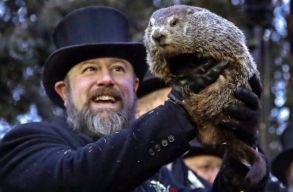 Punxsutawney Phil, a legh�resebb mormota ism�t megj�solta, hogy meddig tart a t�l
